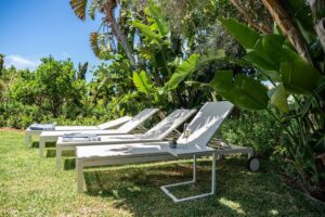 img com 2026020521162220429